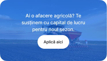 apia-capital-de-lucru-26-aplicatii